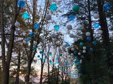 ムーミンバレーパークに投稿された画像（2024/11/23）