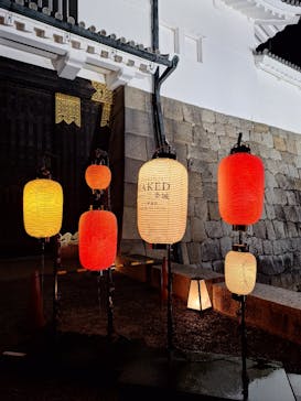 NAKED meets 二条城 2025 観月に投稿された画像（2024/11/23）