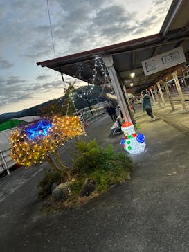 大井川鐵道株式会社に投稿された画像（2024/11/24）