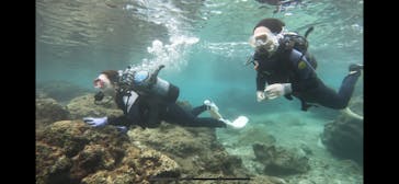 武藤潜水に投稿された画像（2024/11/24）