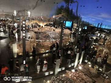 福井県立恐竜博物館に投稿された画像（2024/11/24）