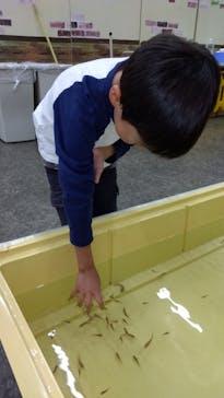 東京あそびマーレに投稿された画像（2024/11/23）