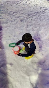 東京あそびマーレに投稿された画像（2024/11/23）