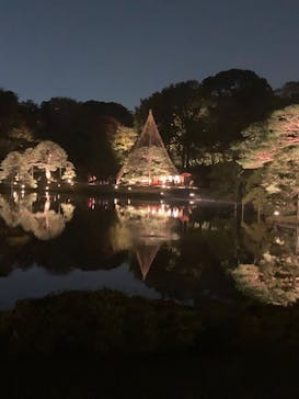 六義園に投稿された画像（2024/11/24）
