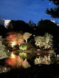 六義園に投稿された画像（2024/11/24）