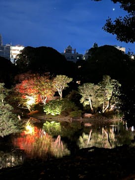六義園に投稿された画像（2024/11/24）