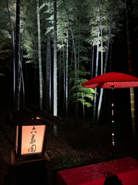 六義園に投稿された画像（2024/11/24）