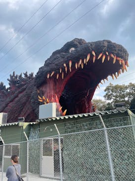 ニジゲンノモリに投稿された画像（2024/11/24）