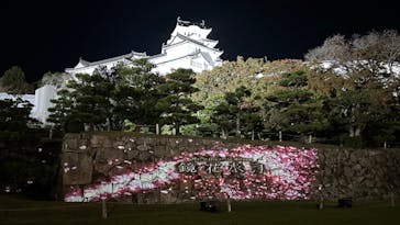 姫路城ライトアップイベント　鏡花水月　@姫路城三の丸広場に投稿された画像（2024/11/24）