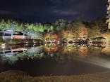 国営昭和記念公園 秋の夜散歩に投稿された画像（2024/11/24）