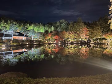 国営昭和記念公園 秋の夜散歩に投稿された画像（2024/11/24）