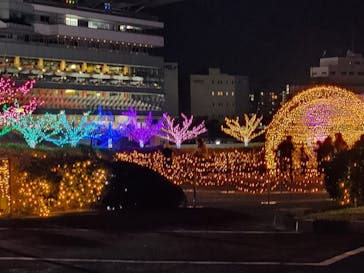東京メガイルミに投稿された画像（2024/11/24）
