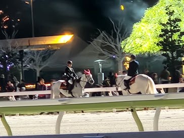 東京メガイルミに投稿された画像（2024/11/24）