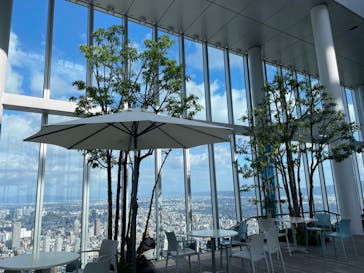 ハルカス300(展望台)に投稿された画像（2024/11/24）