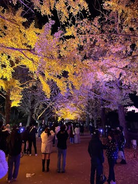 国営昭和記念公園 秋の夜散歩に投稿された画像（2024/11/24）