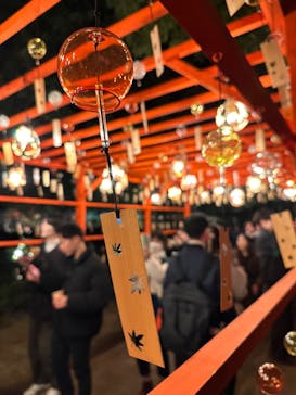 国営昭和記念公園 秋の夜散歩に投稿された画像（2024/11/24）