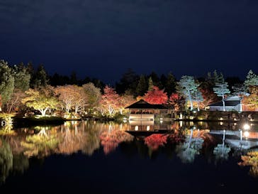 国営昭和記念公園 秋の夜散歩に投稿された画像（2024/11/24）