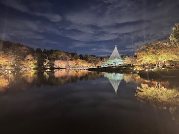 国営昭和記念公園 秋の夜散歩に投稿された画像（2024/11/24）