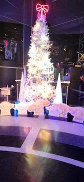 東京ジョイポリスに投稿された画像（2024/11/24）