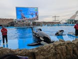 名古屋港水族館に投稿された画像（2024/11/24）