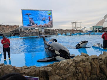 名古屋港水族館に投稿された画像（2024/11/24）