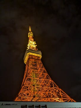 アソビュー！ポイントに投稿された画像（2024/11/24）