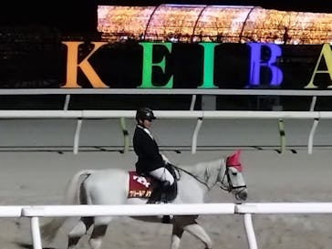 東京メガイルミに投稿された画像（2024/11/24）