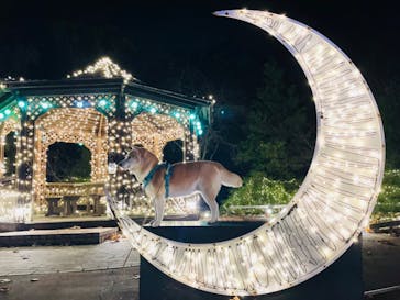 修善寺虹の郷に投稿された画像（2024/11/24）