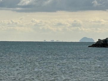 ホワイトウイングに投稿された画像（2024/11/24）