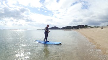 ホワイトウイングに投稿された画像（2024/11/24）