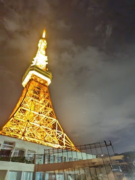 東京タワーに投稿された画像（2024/11/24）