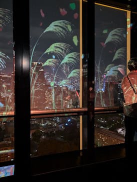 東京タワーに投稿された画像（2024/11/24）