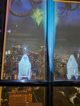 東京タワーに投稿された画像（2024/11/24）