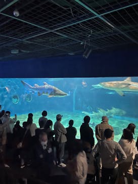 アクアワールド茨城県大洗水族館に投稿された画像（2024/11/24）