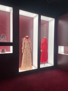 GUCCI COSMOSに投稿された画像（2024/11/24）