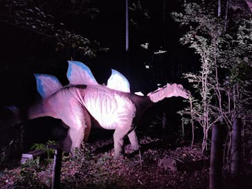 みろくの里に投稿された画像（2024/11/23）