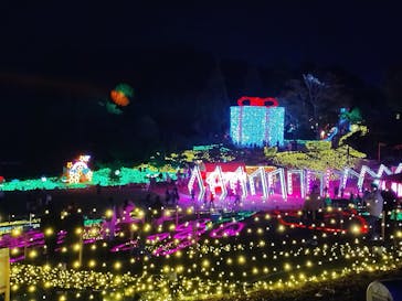 みろくの里に投稿された画像（2024/11/23）