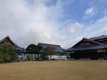 元離宮二条城に投稿された画像（2024/11/24）
