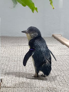 AOAO SAPPOROに投稿された画像（2024/11/24）