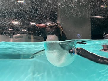 AOAO SAPPOROに投稿された画像（2024/11/24）