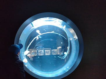 AOAO SAPPOROに投稿された画像（2024/11/24）