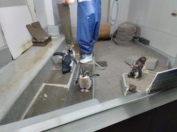 AOAO SAPPOROに投稿された画像（2024/11/24）