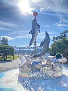 マリンワールド海の中道に投稿された画像（2024/11/24）