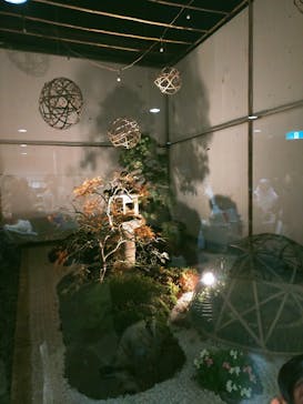 江戸東京たてもの園に投稿された画像（2024/11/24）