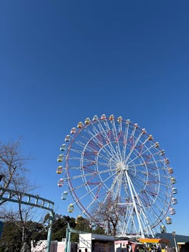 浜名湖パルパルに投稿された画像（2024/11/24）