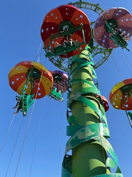 浜名湖パルパルに投稿された画像（2024/11/24）