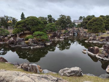 元離宮二条城に投稿された画像（2024/11/24）