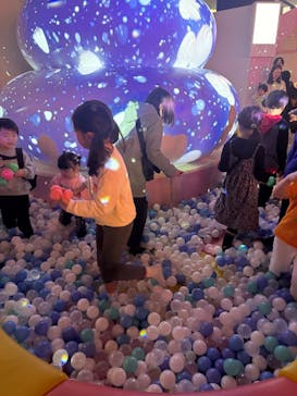 うんこミュージアム TOKYOに投稿された画像（2024/11/24）