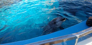 名古屋港水族館に投稿された画像（2024/11/24）