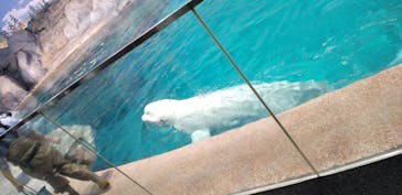 名古屋港水族館に投稿された画像（2024/11/24）